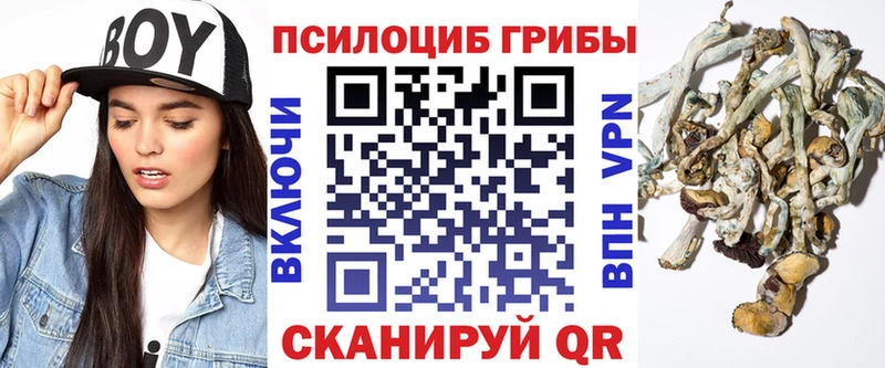 Галлюциногенные грибы Cubensis  Кизляр 