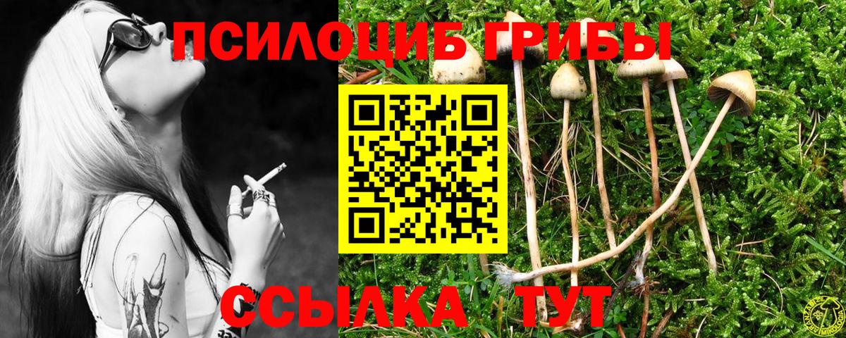 МАРИХУАНА  КОКАИН  ГАШ  Вход с VPN  Гашиш  Кизляр  Мефедрон   Продажа наркотиков  Кокаин 