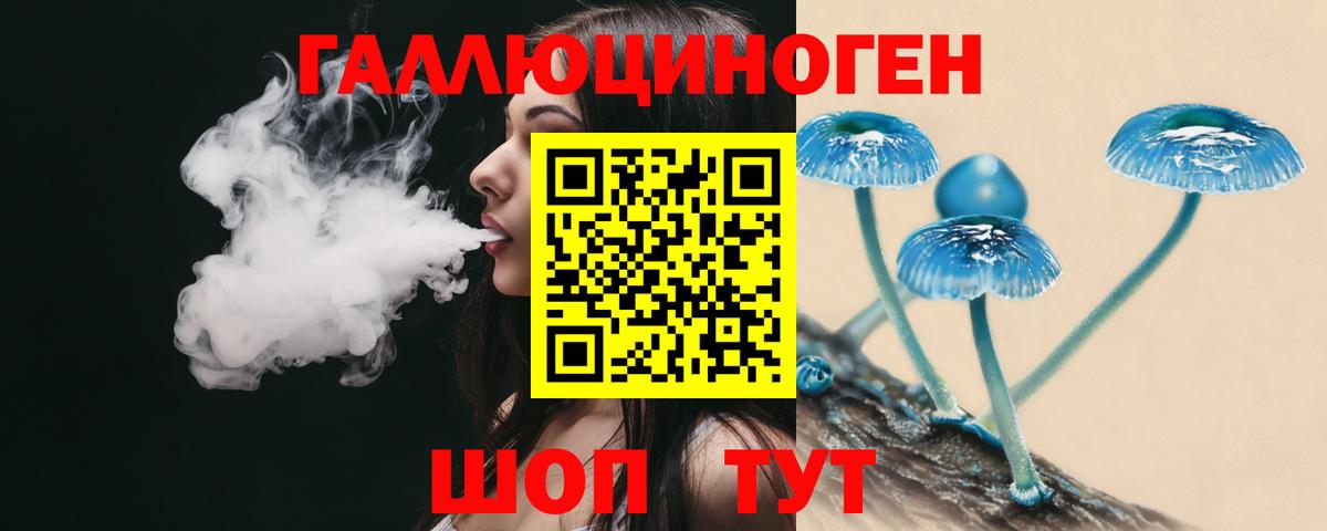 Галлюциногенные грибы GOLDEN TEACHER Кизляр